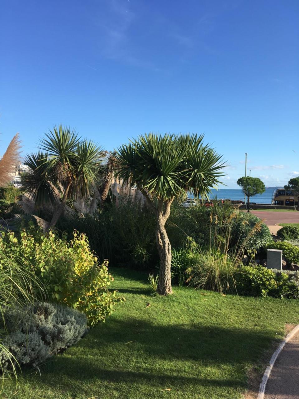 Newburgh Guesthouse Torquay Eksteriør billede